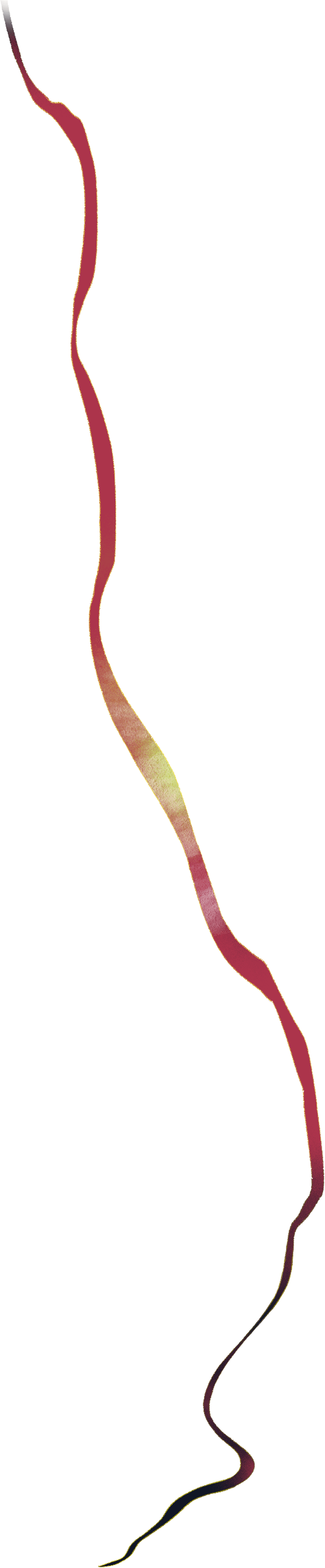 houzee-ribbon