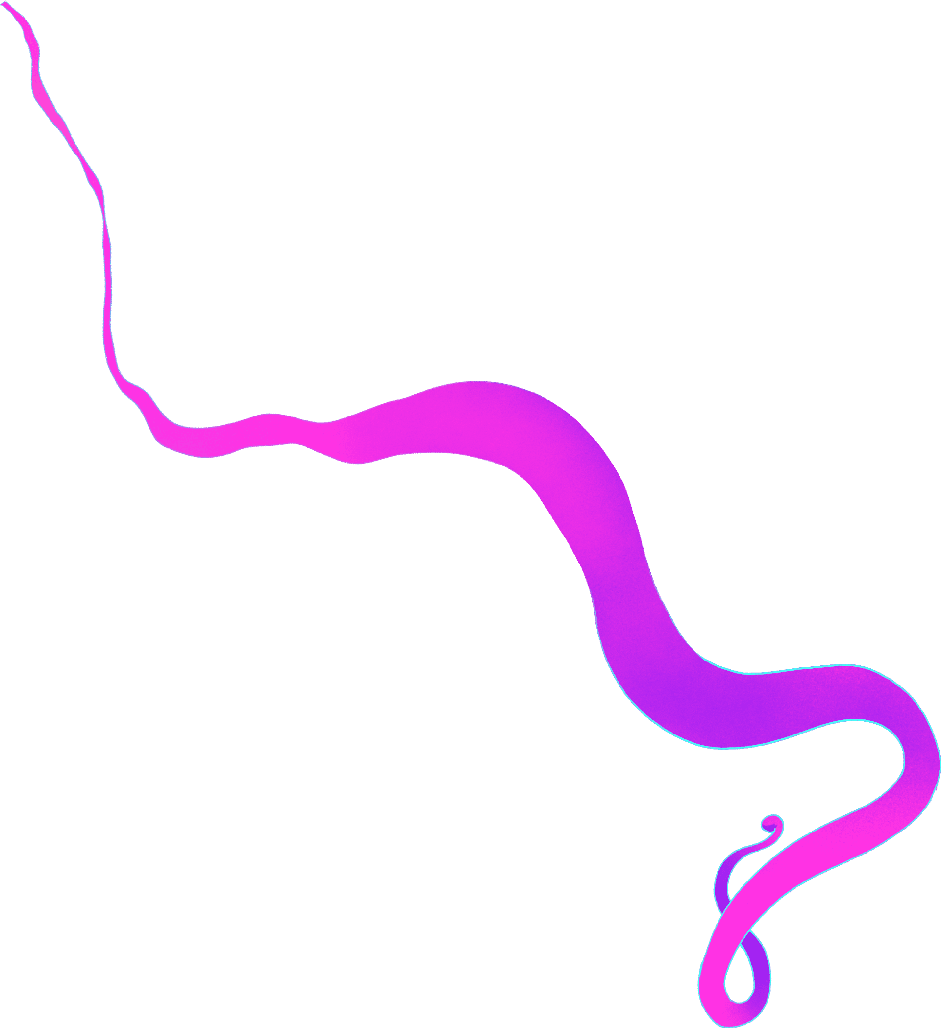 purple-ribbon