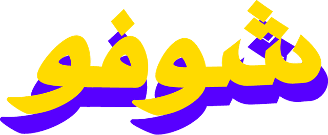 SHOFO_2